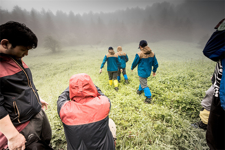 Cad é SURVIVA Wilderness Survival?