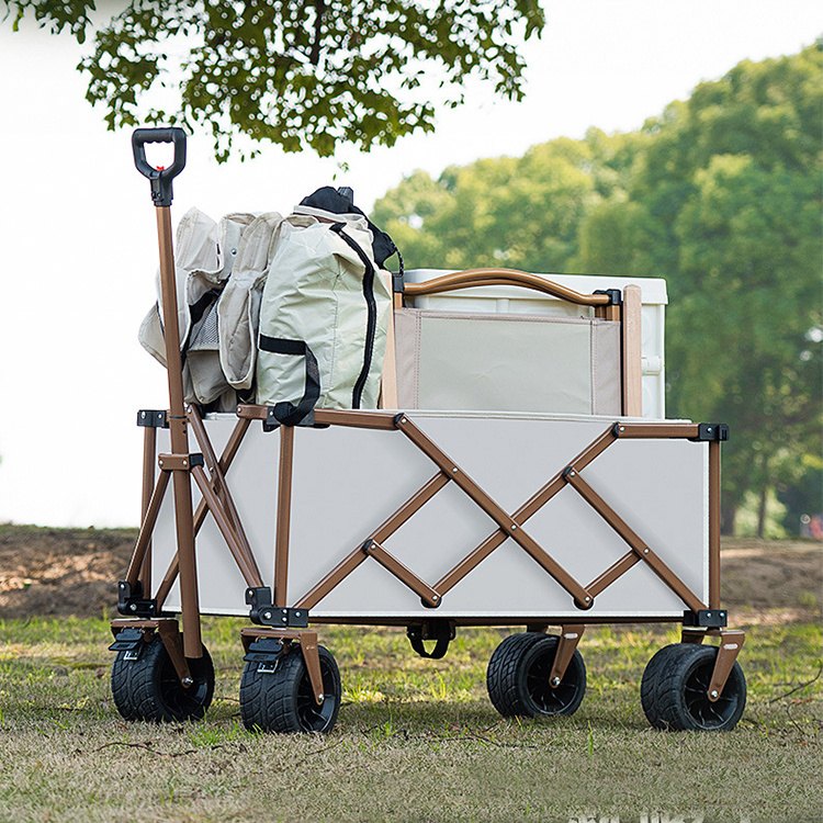 Cara Wagon Infhillte Campála